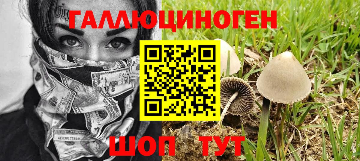 Галлюциногенные грибы Psilocybine cubensis  Вход с VPN  Наро-Фоминск  Псилоцибиновые грибы Cubensis 